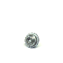 WHT001496 Fender Screw